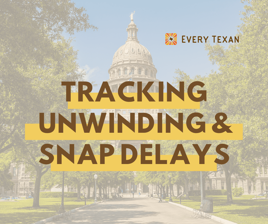 Tracking Medicaid & SNAP Delays in Texas Every Texan