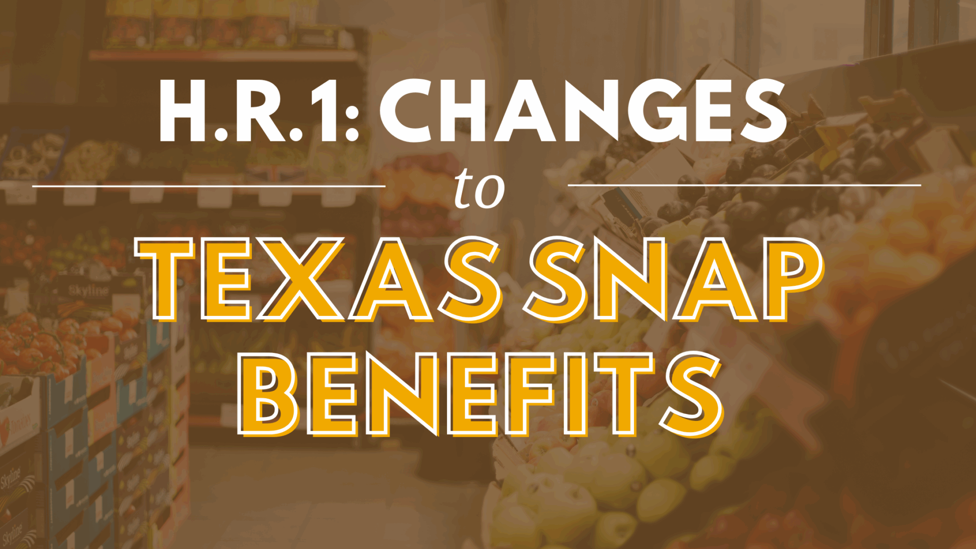 Supplemental Nutrition Assistance Program (SNAP) - Every Texan